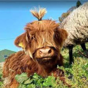 Meet your Posher, Kylee